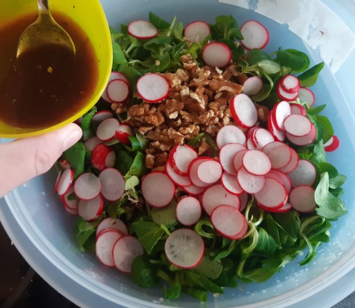 Feldsalat (1): Salat vor Zugabe des Dressings (das war zu wenig, ich mußte noch etwas Dressing nachmachen)