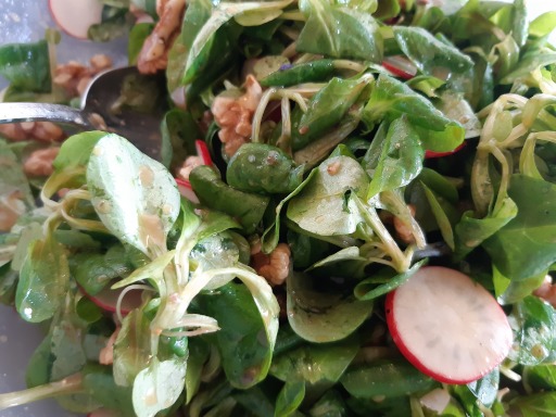 Feldsalat (2): Salat mit Dressing vermischt