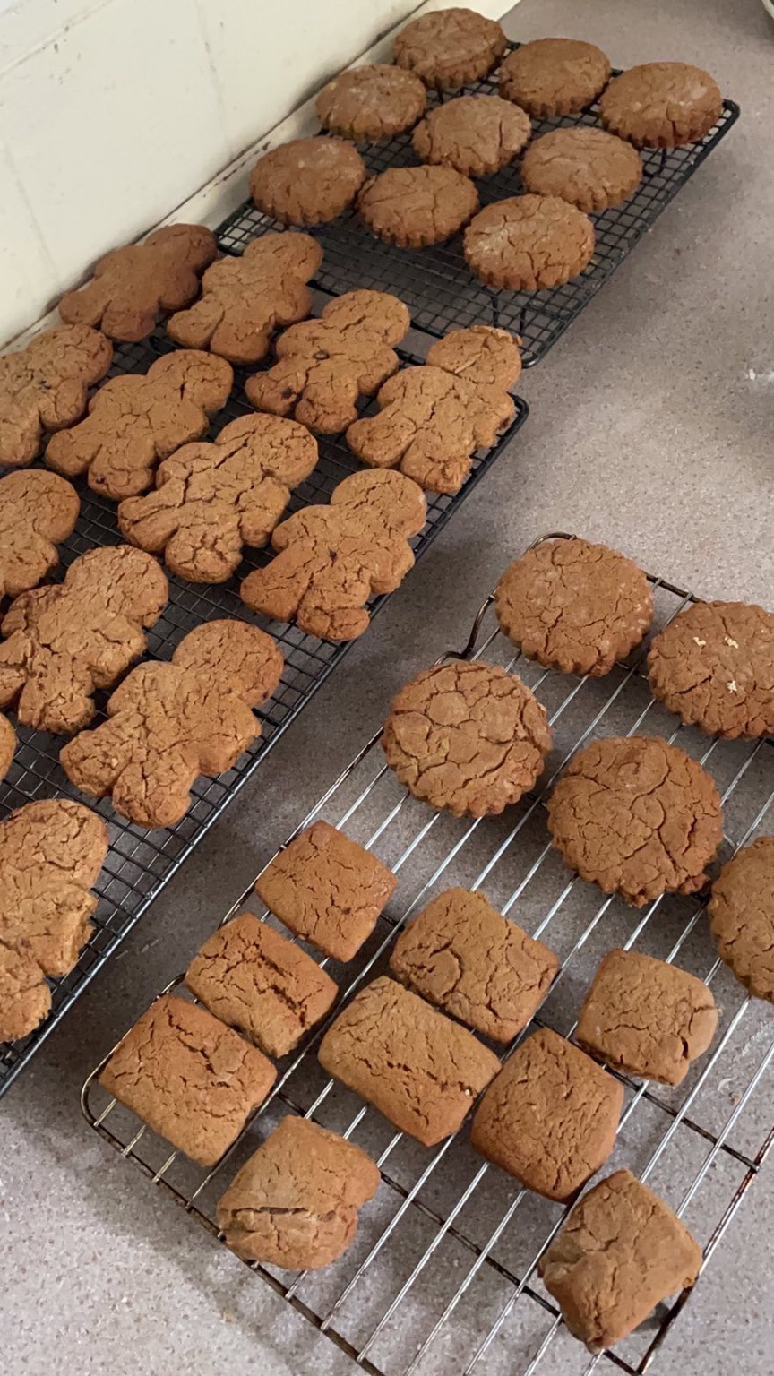 GingerToms: Isle of Wight Ginger Toms: a thick and soft gingerbread, made with real ginger